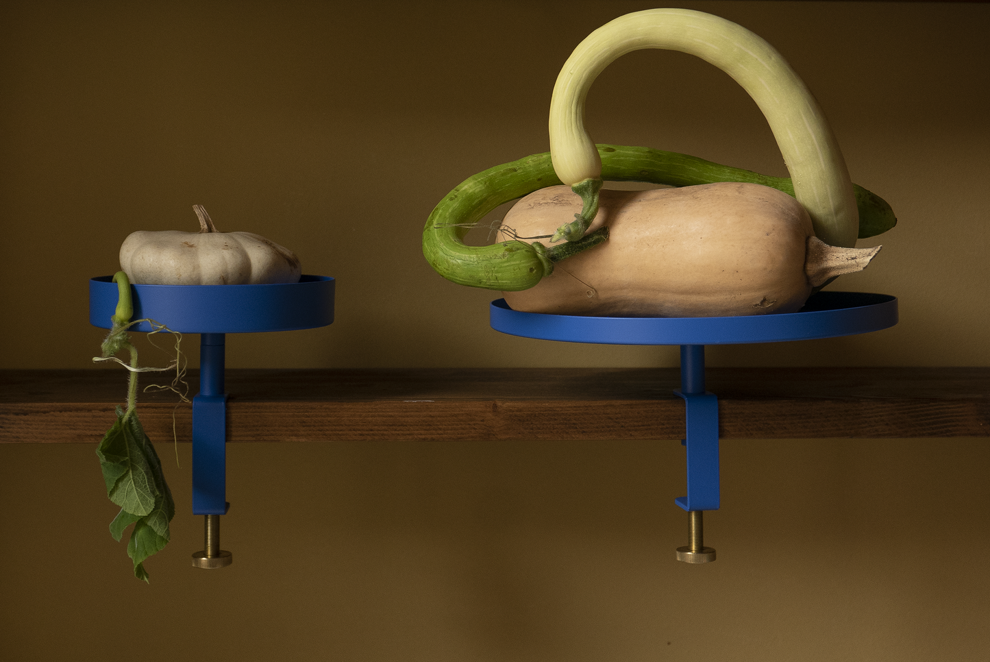Clamp Tray